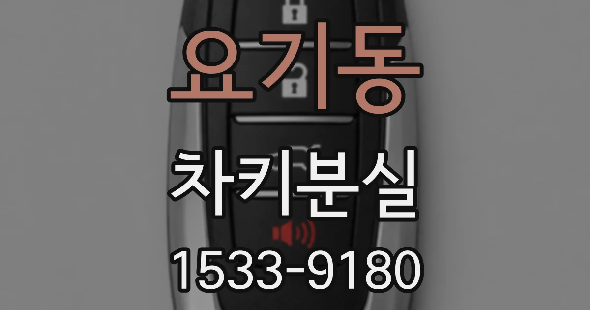 요기동 차키분실