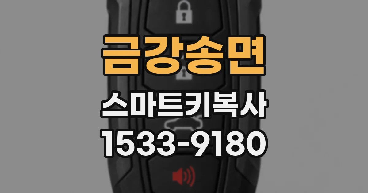 금강송면 스마트키복사
