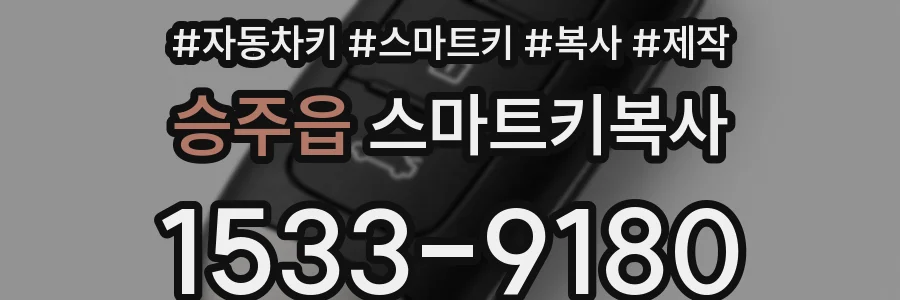 승주읍 스마트키복사