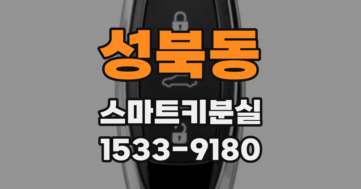 성북동 스마트키분실