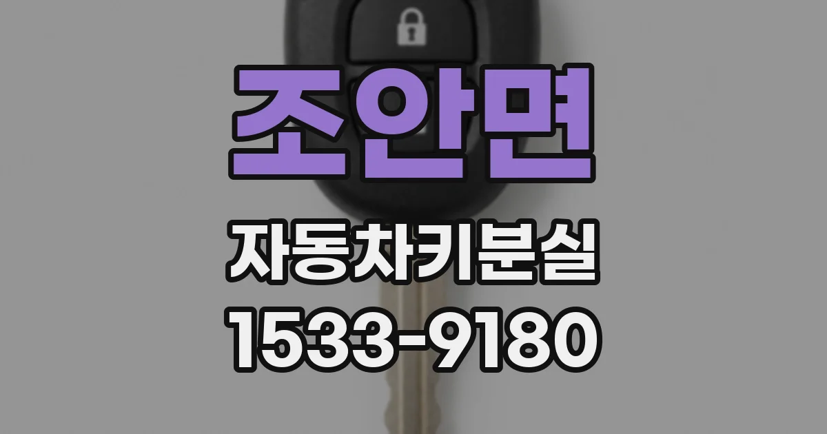 조안면 자동차키분실