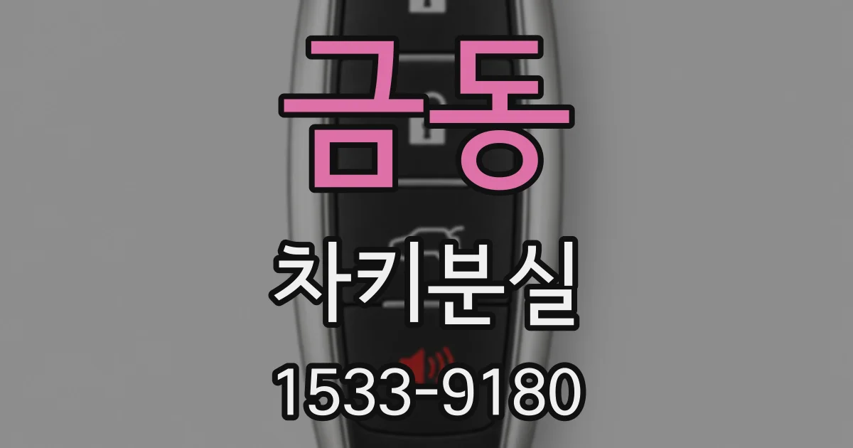 금동 차키분실