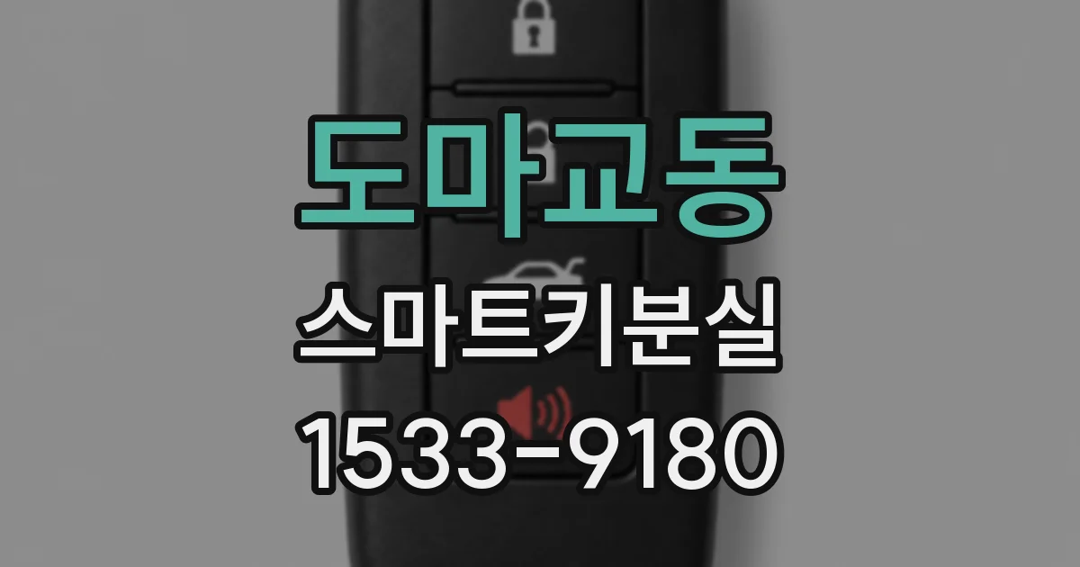 도마교동 스마트키분실