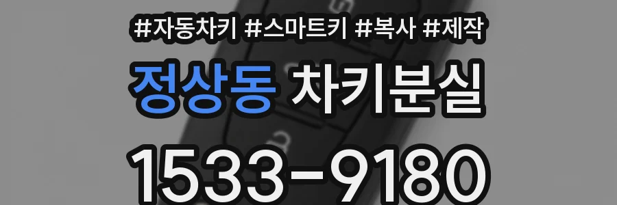 정상동 차키분실