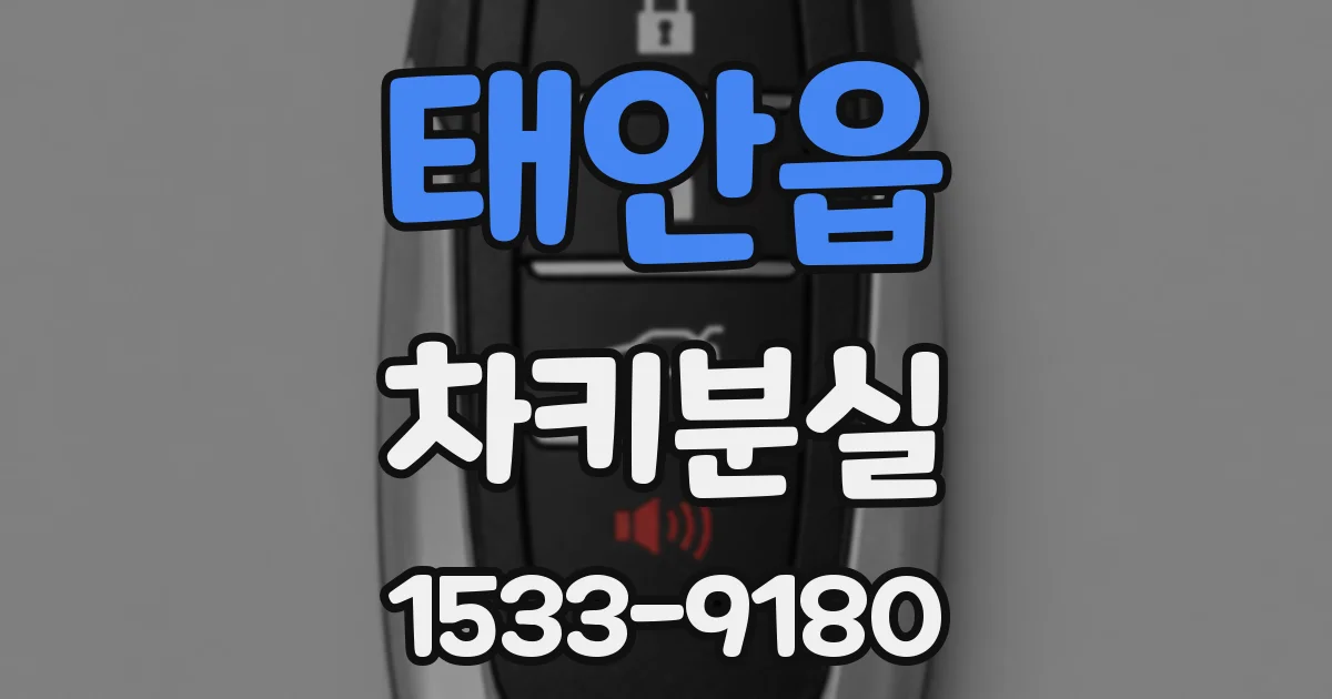 태안읍 차키분실