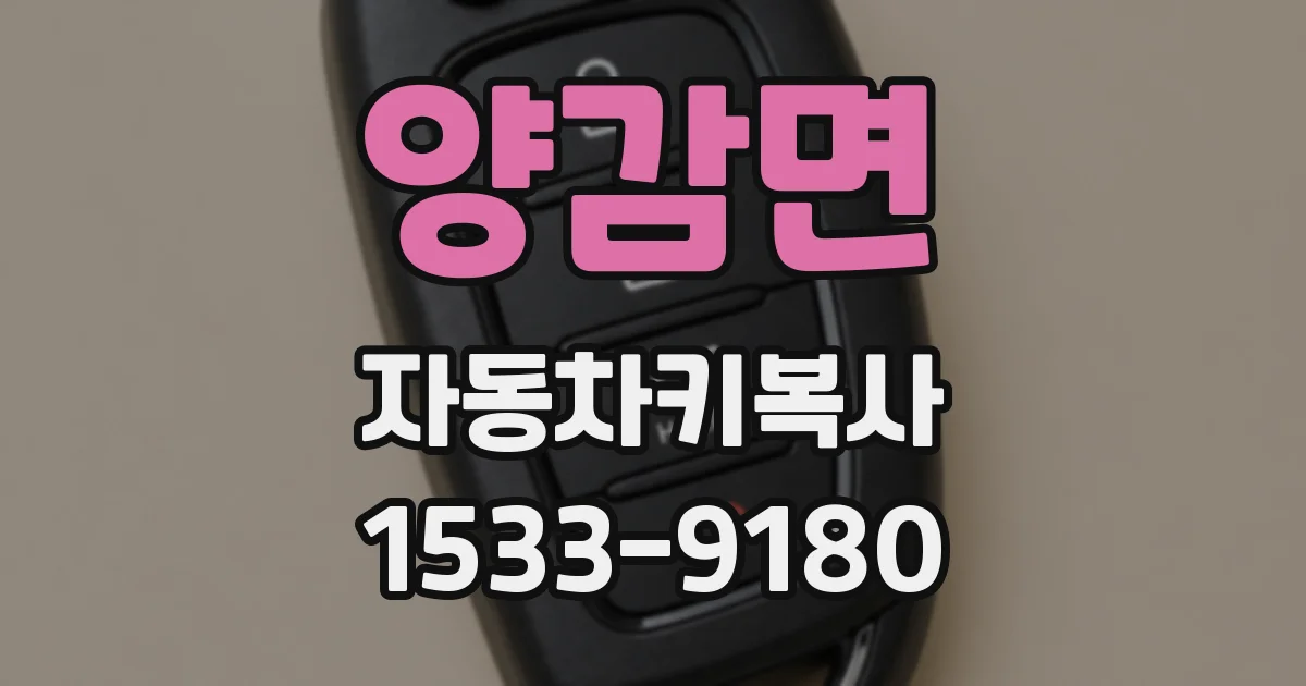 양감면 자동차키복사