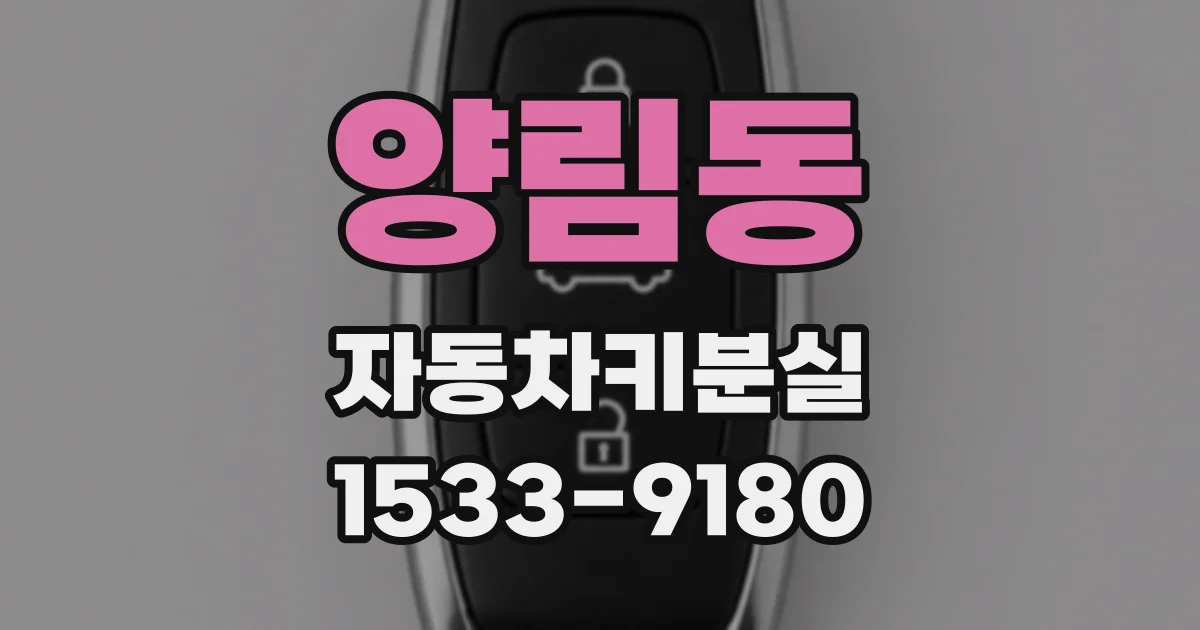 양림동 자동차키분실