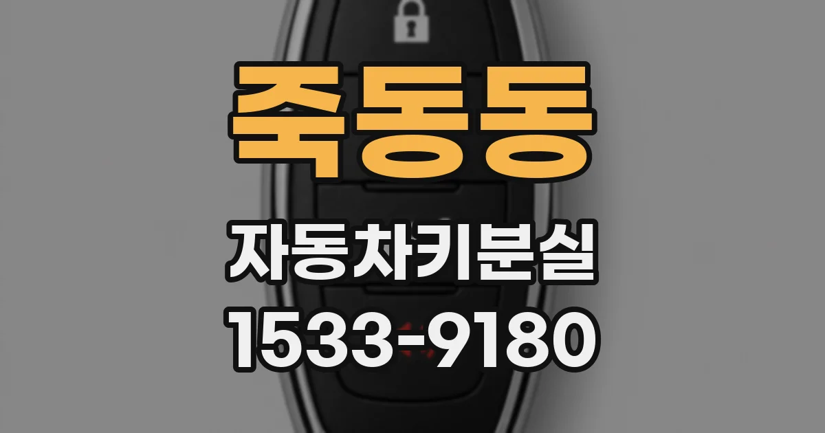 죽동동 자동차키분실