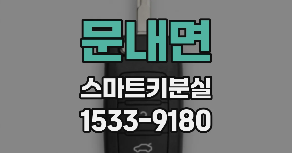 문내면 스마트키분실