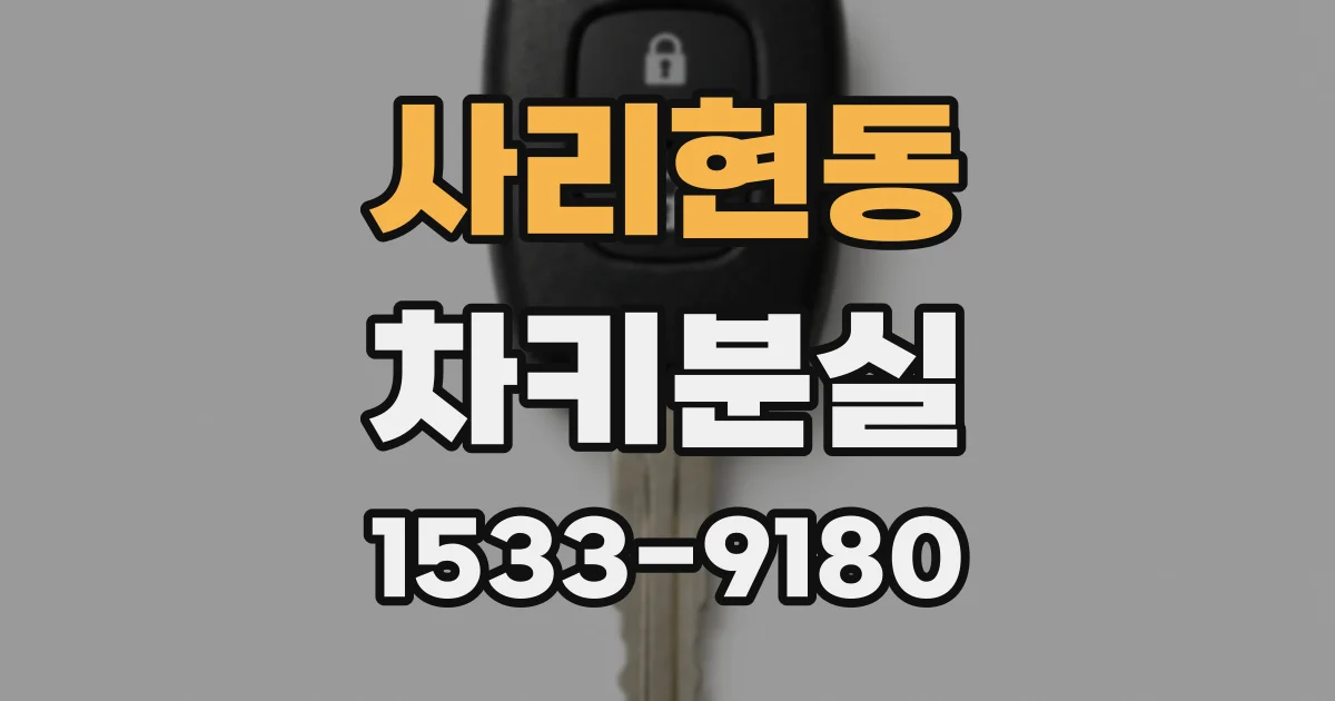 사리현동 차키분실