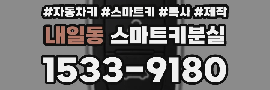 내일동 스마트키분실