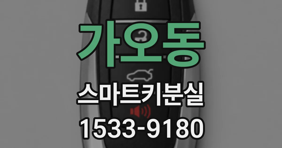 가오동 스마트키분실