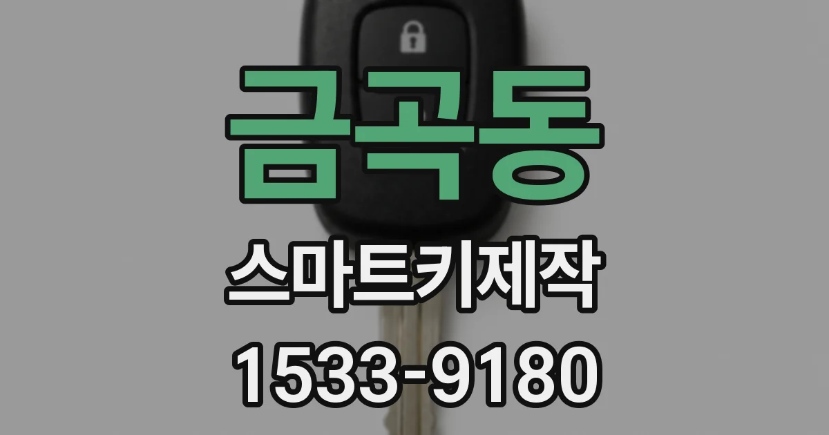금곡동 스마트키제작