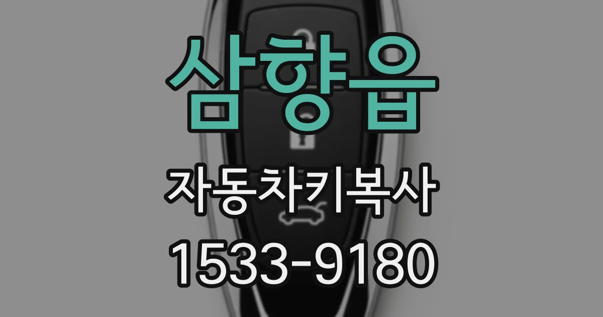 삼향읍 자동차키복사