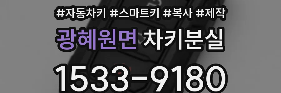 광혜원면 차키분실