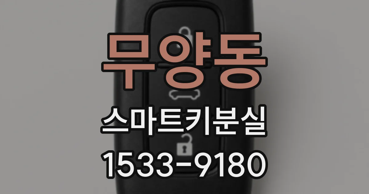 무양동 스마트키분실