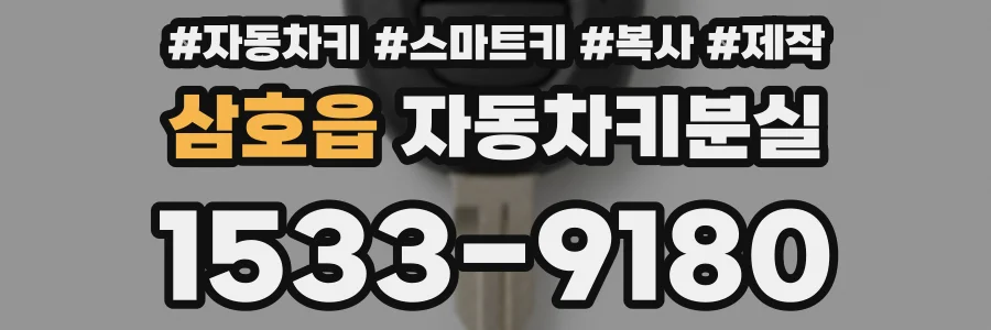 삼호읍 자동차키분실