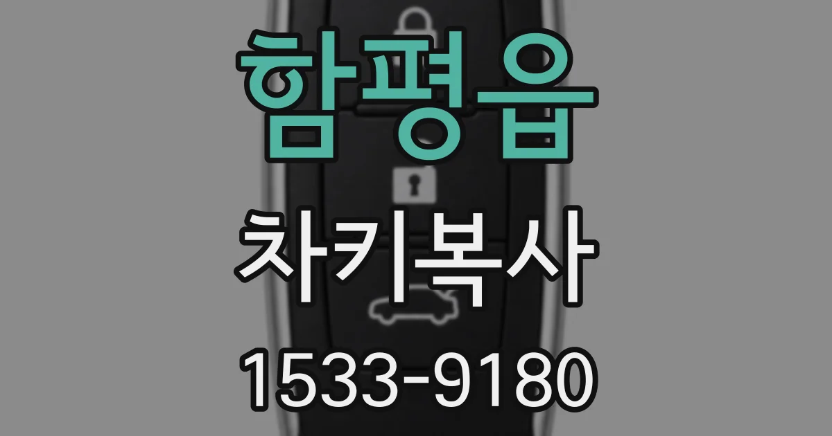 함평읍 차키복사