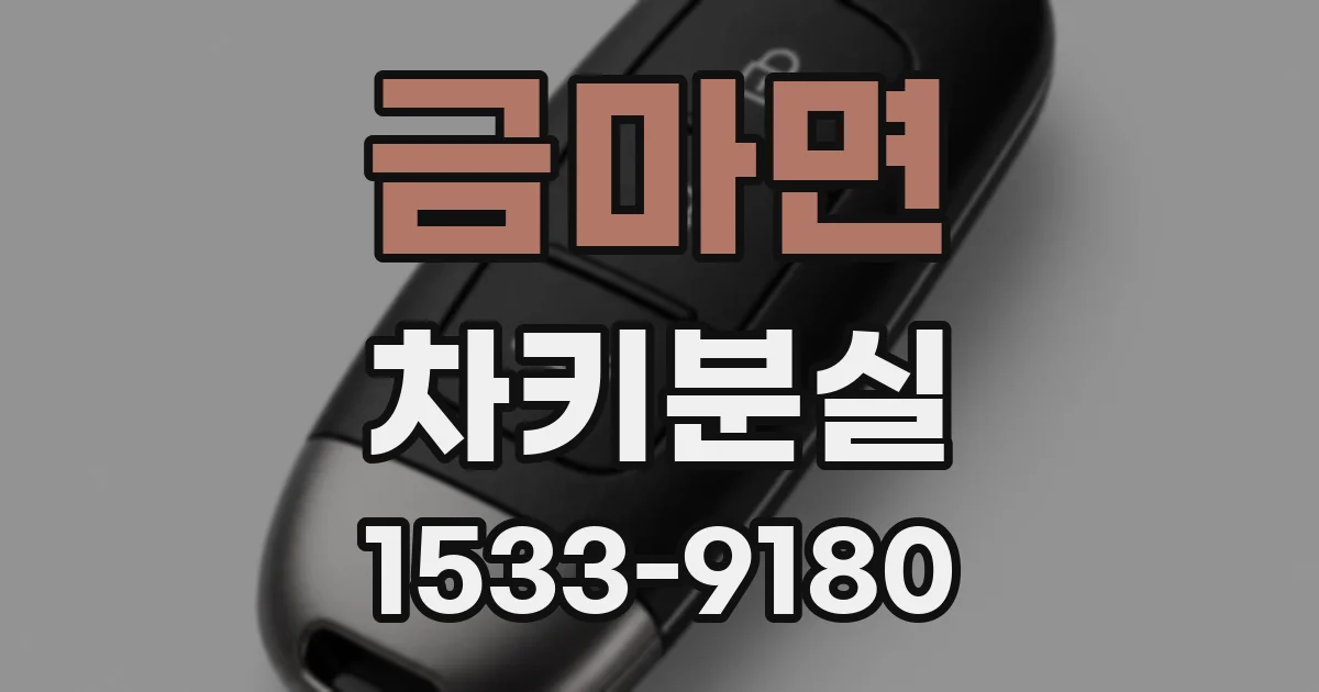금마면 차키분실