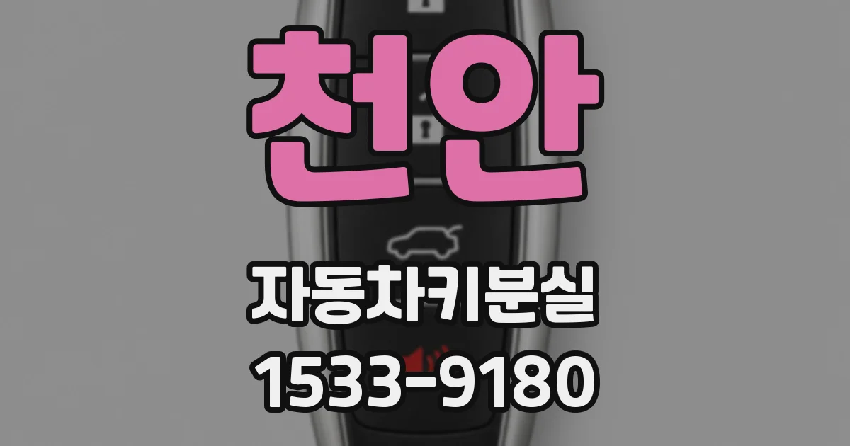 천안 자동차키분실