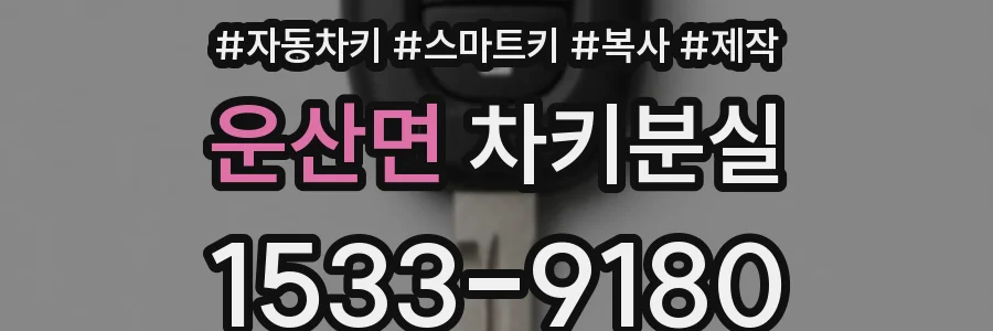 운산면 차키분실