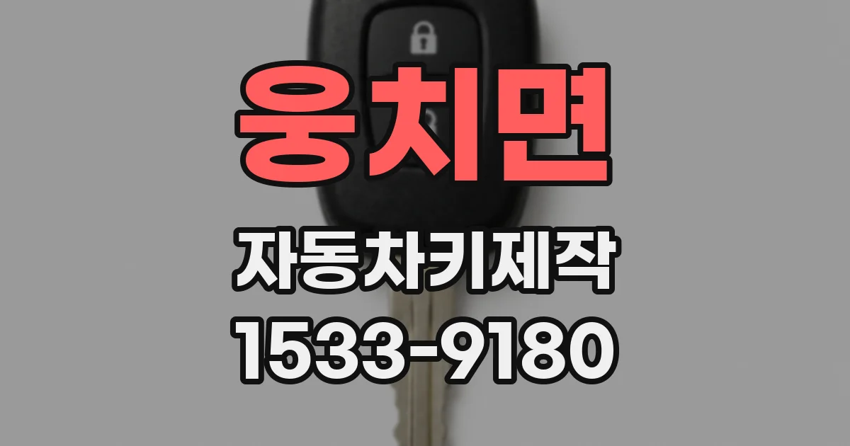 웅치면 자동차키제작