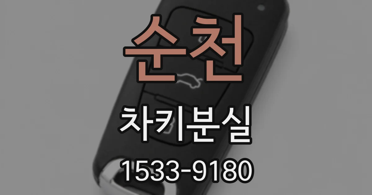 순천 차키분실