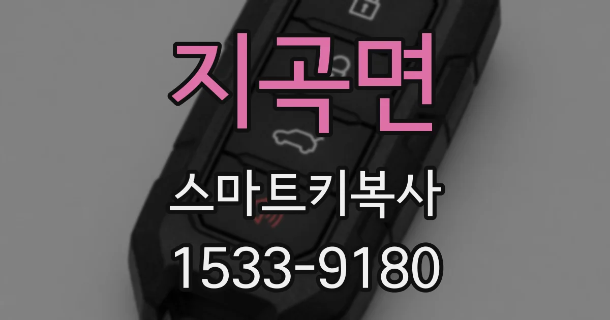 지곡면 스마트키복사