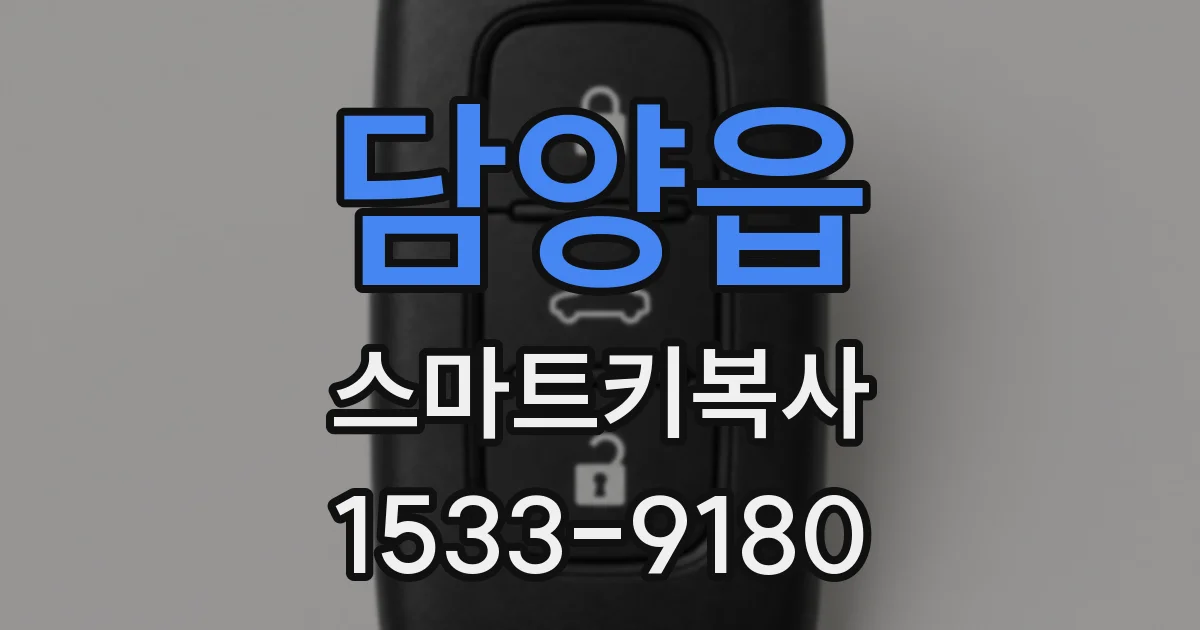 담양읍 스마트키복사
