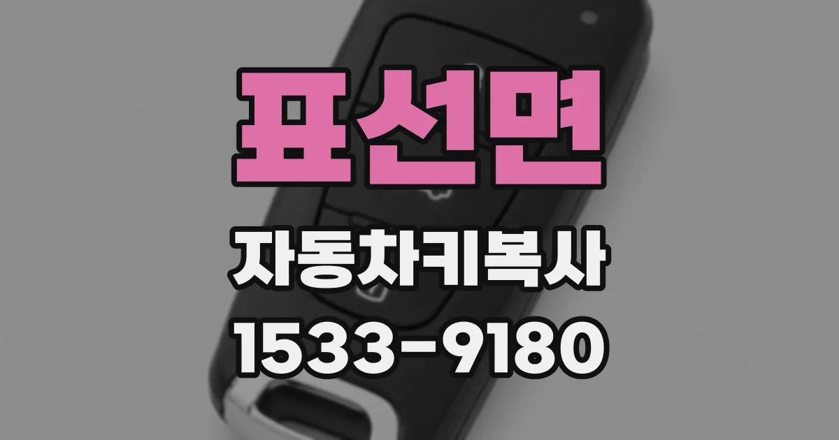 표선면 자동차키복사