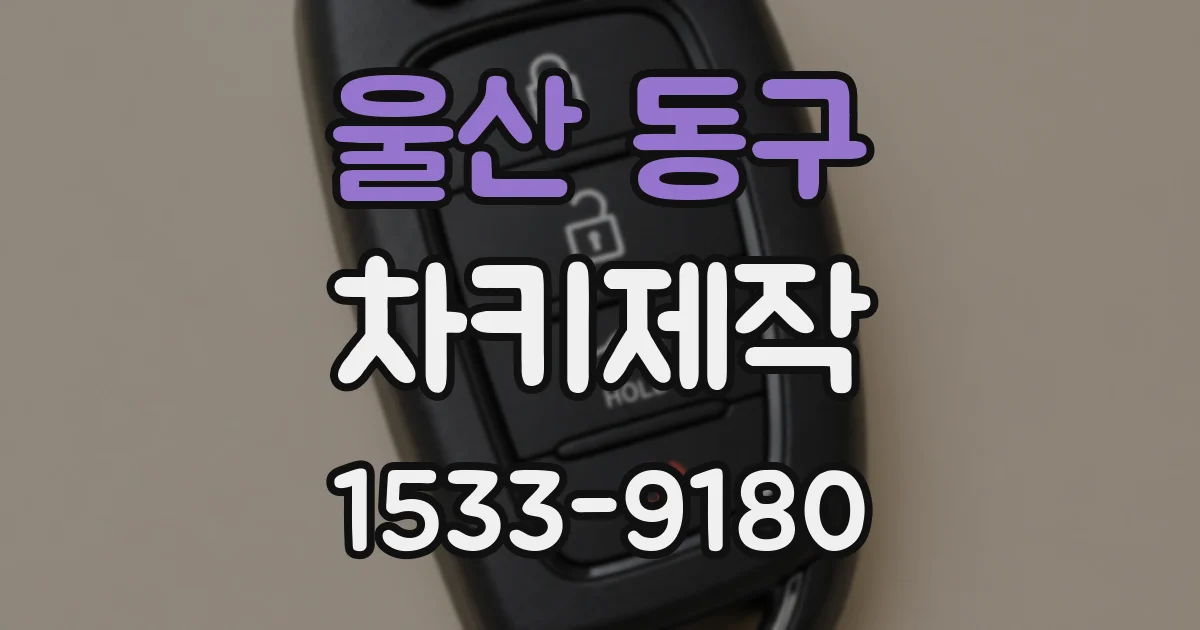 울산 동구 차키제작