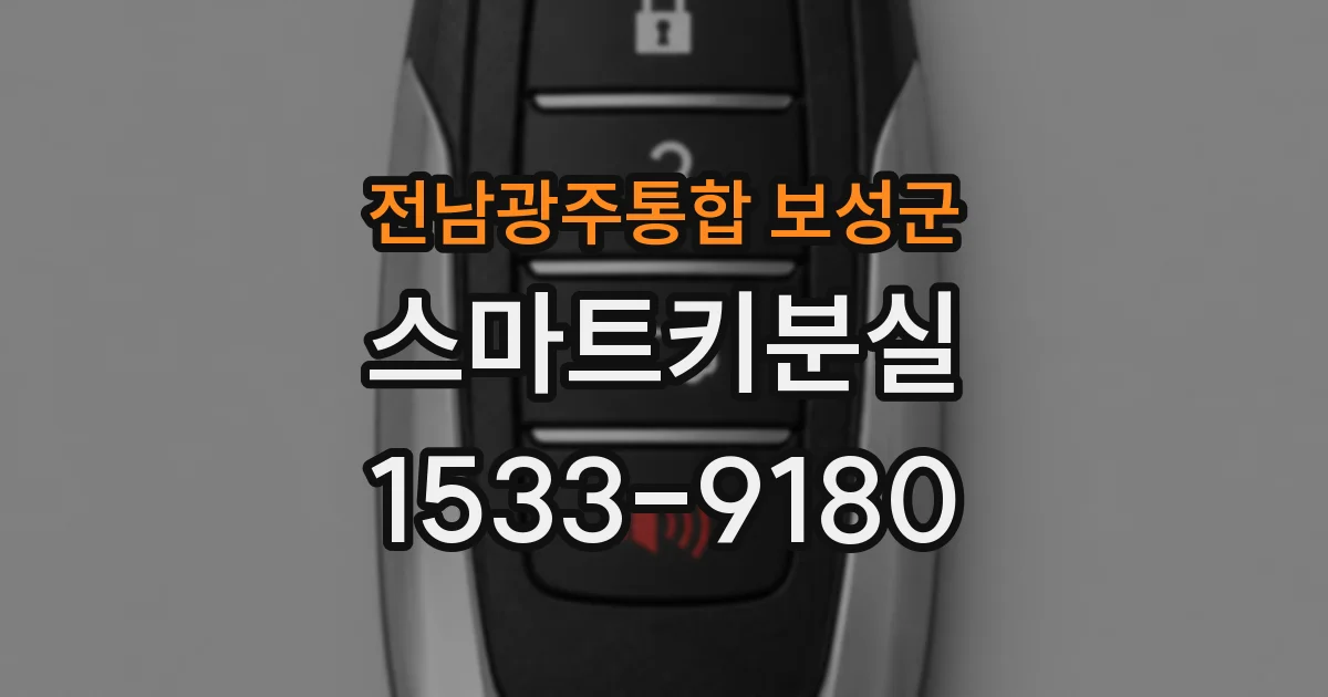 전남광주통합 보성군 스마트키분실