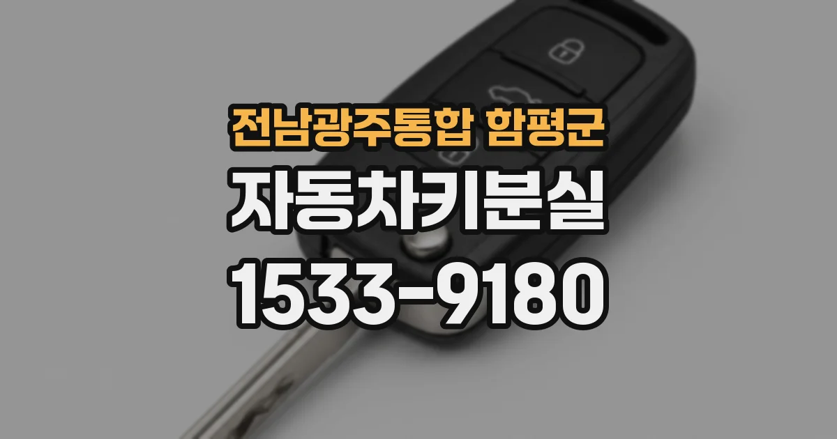 전남광주통합 함평군 자동차키분실
