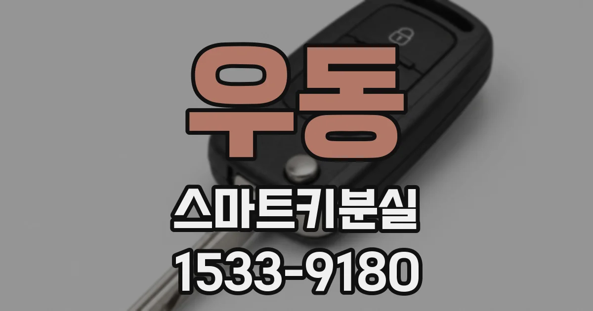 우동 스마트키분실