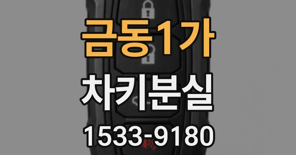 금동1가 차키분실