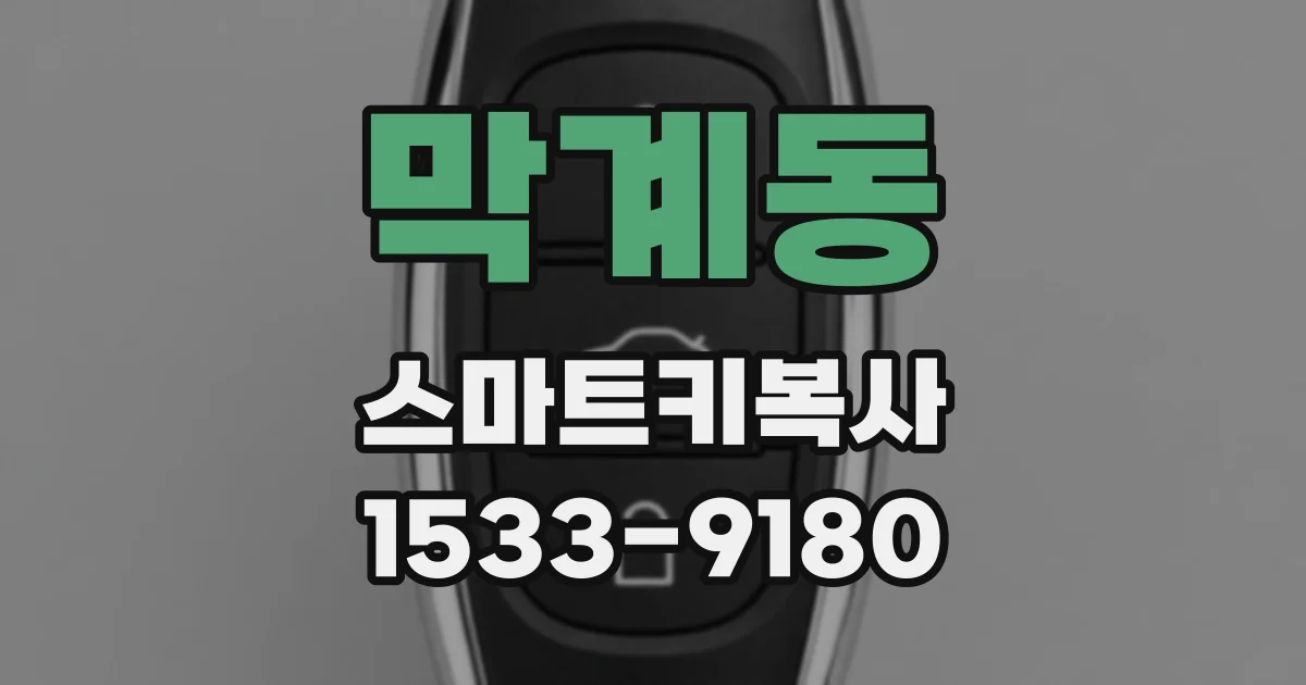 막계동 스마트키복사