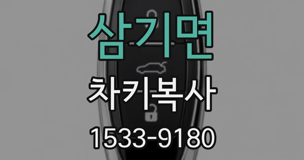 삼기면 차키복사
