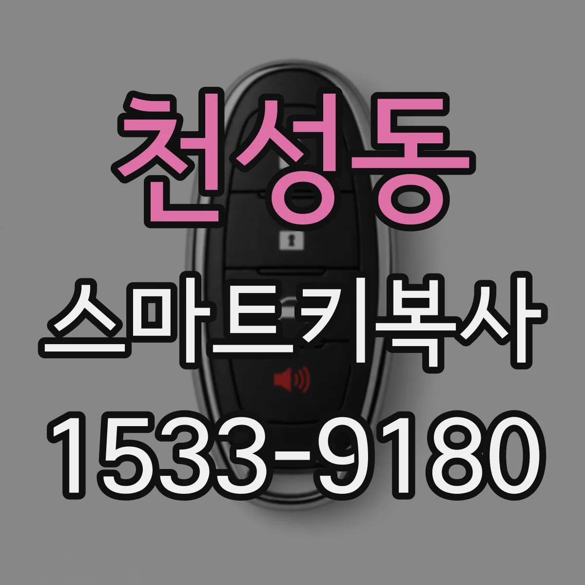 천성동 스마트키복사