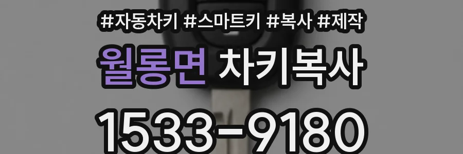 월롱면 차키복사