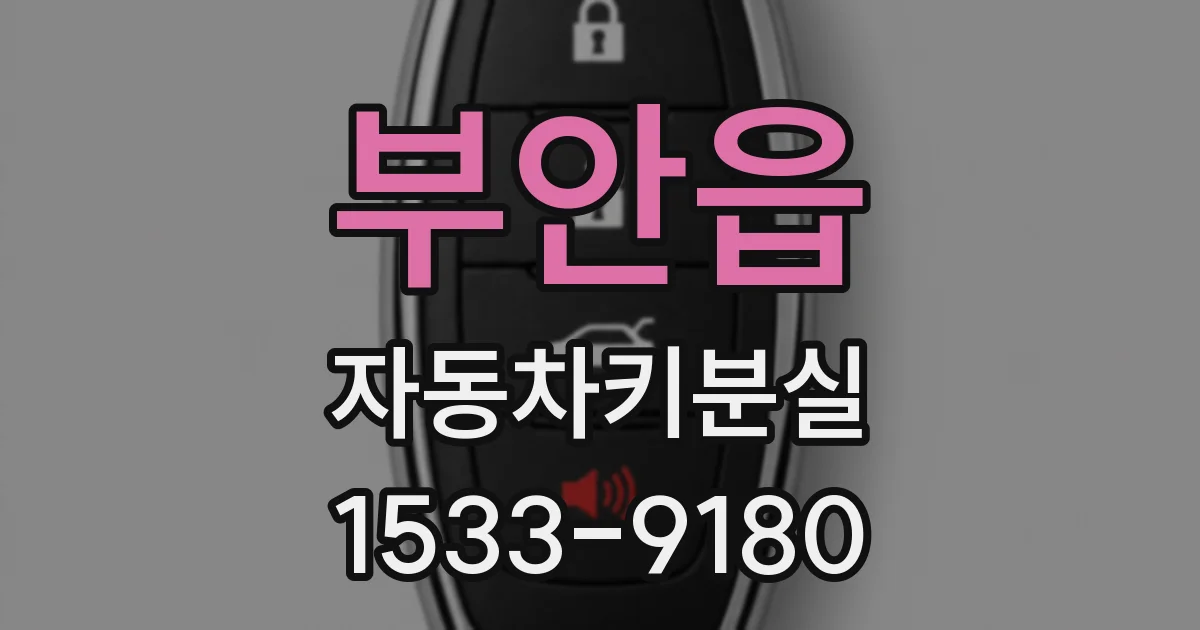 부안읍 자동차키분실