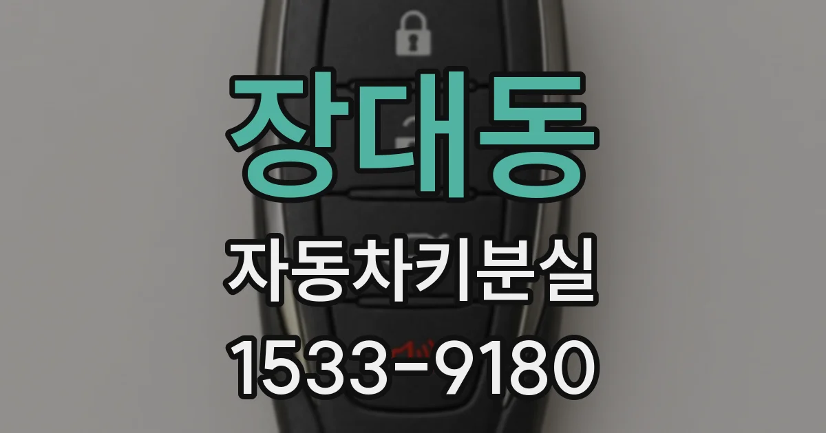 장대동 자동차키분실