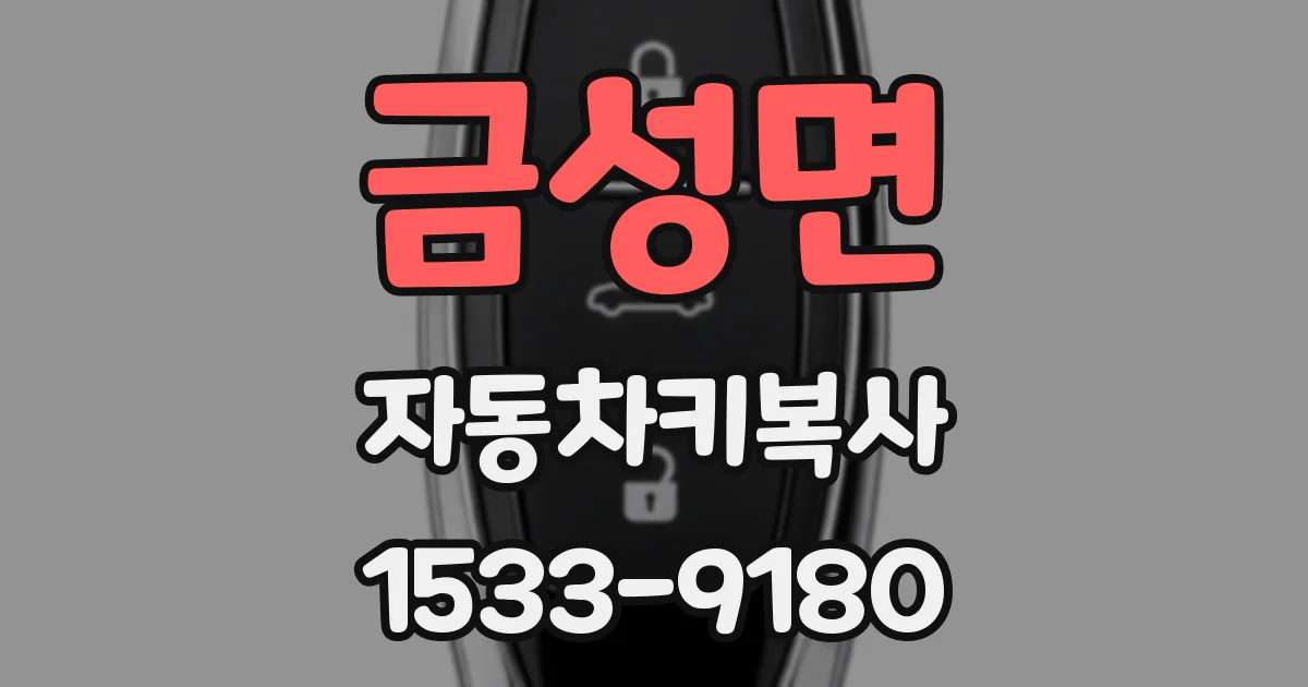 금성면 자동차키복사