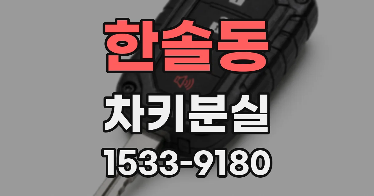 한솔동 차키분실