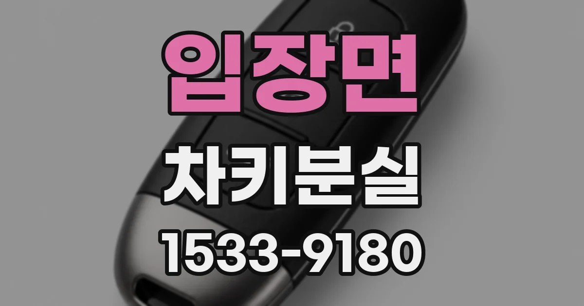 입장면 차키분실