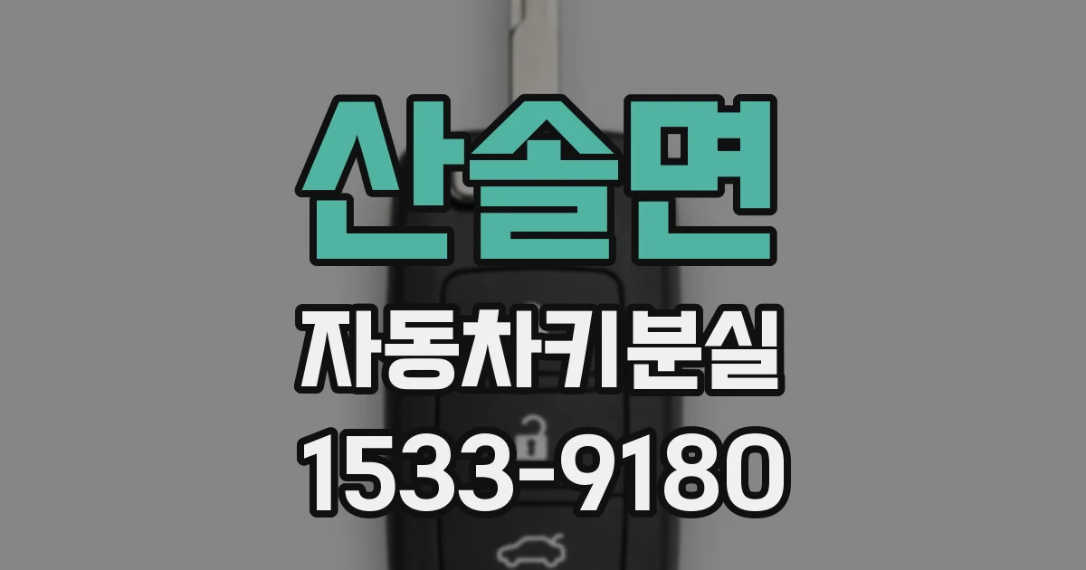 산솔면 자동차키분실