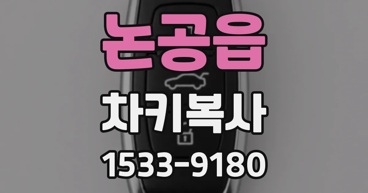논공읍 차키복사