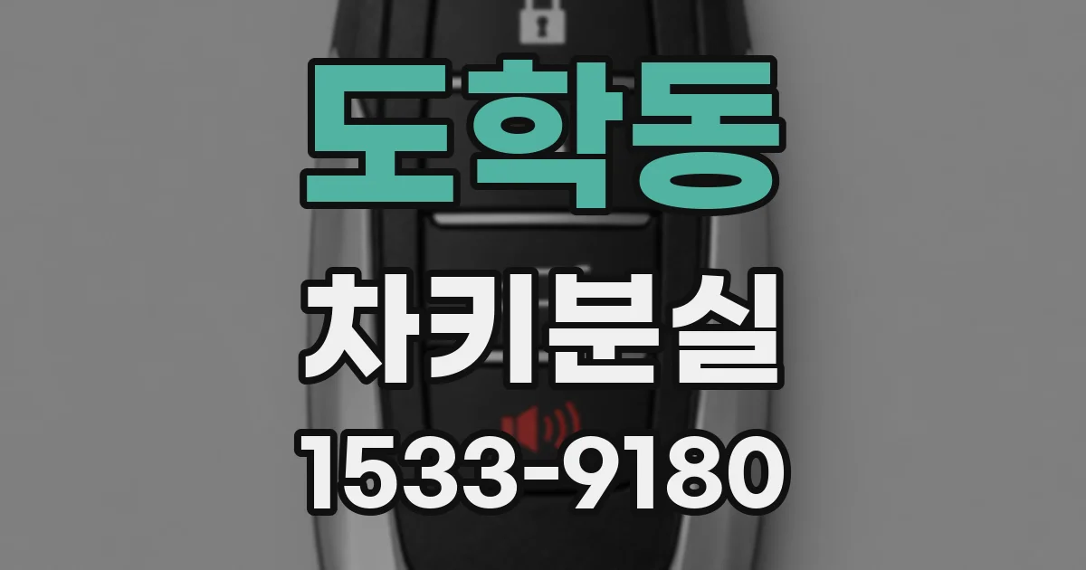 도학동 차키분실