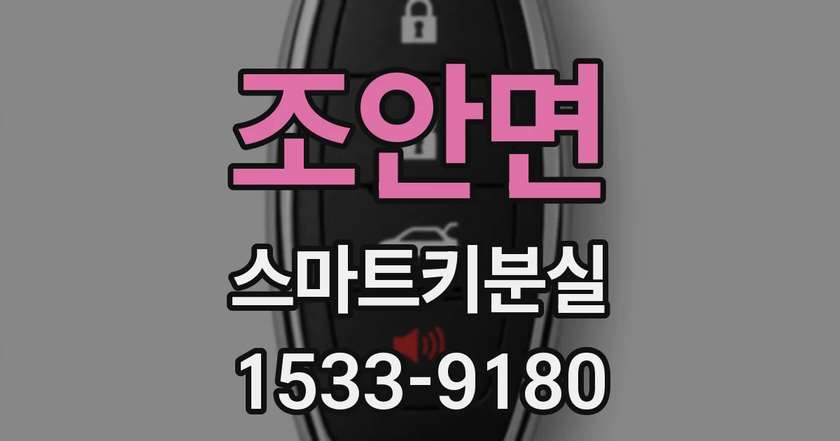 조안면 스마트키분실