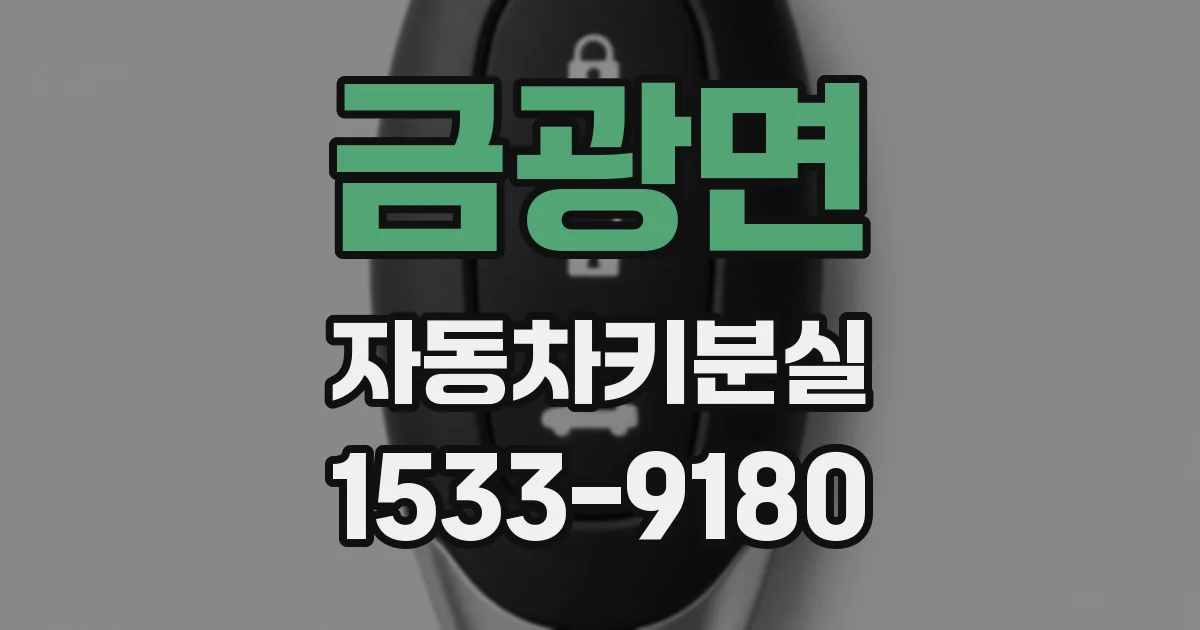 금광면 자동차키분실