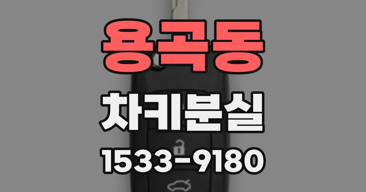 용곡동 차키분실